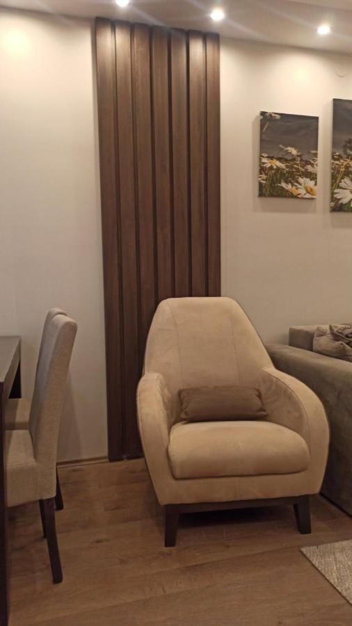 Apartment Dana Banja Koviljača Esterno foto