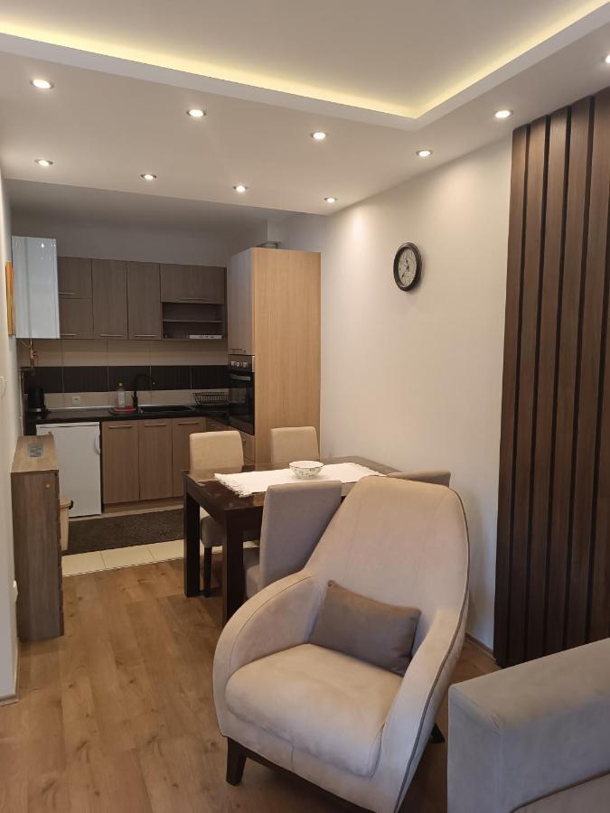 Apartment Dana Banja Koviljača Esterno foto