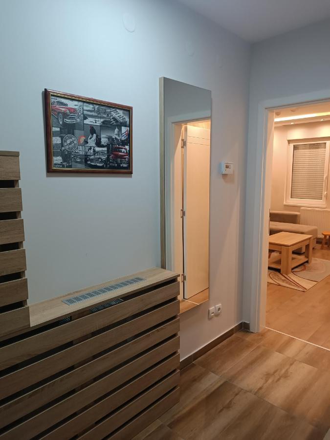 Apartment Dana Banja Koviljača Esterno foto