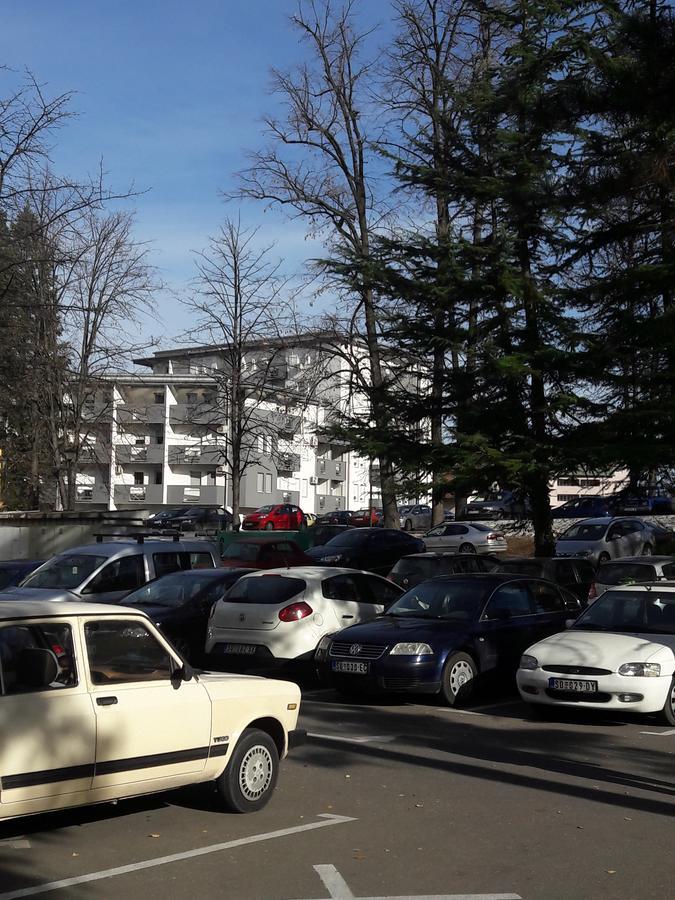 Apartment Dana Banja Koviljača Esterno foto